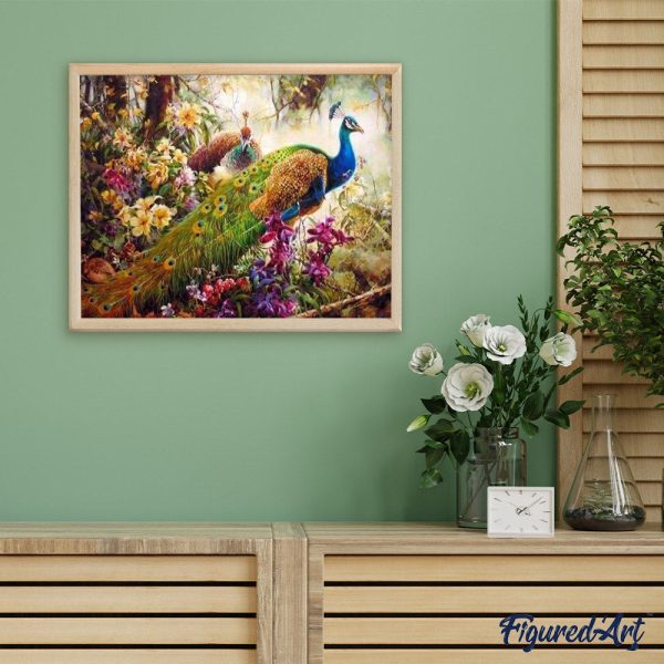 Magnificent Peacock For Cheap - Image 3